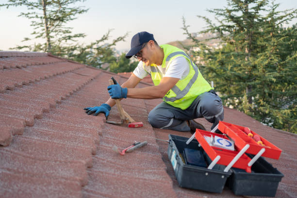 Best Metal Roofing Contractor  in San Joaquin, CA